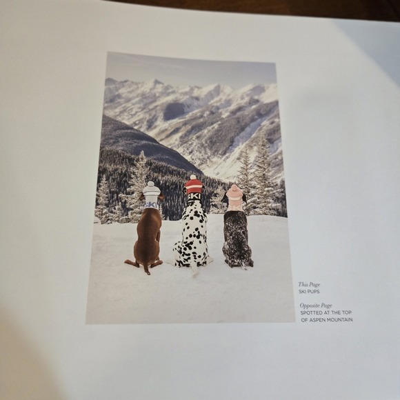 Gray Malin: Dogs: Photographs | EUC Coffee Table Book Canine Photography - Picture 9 of 12